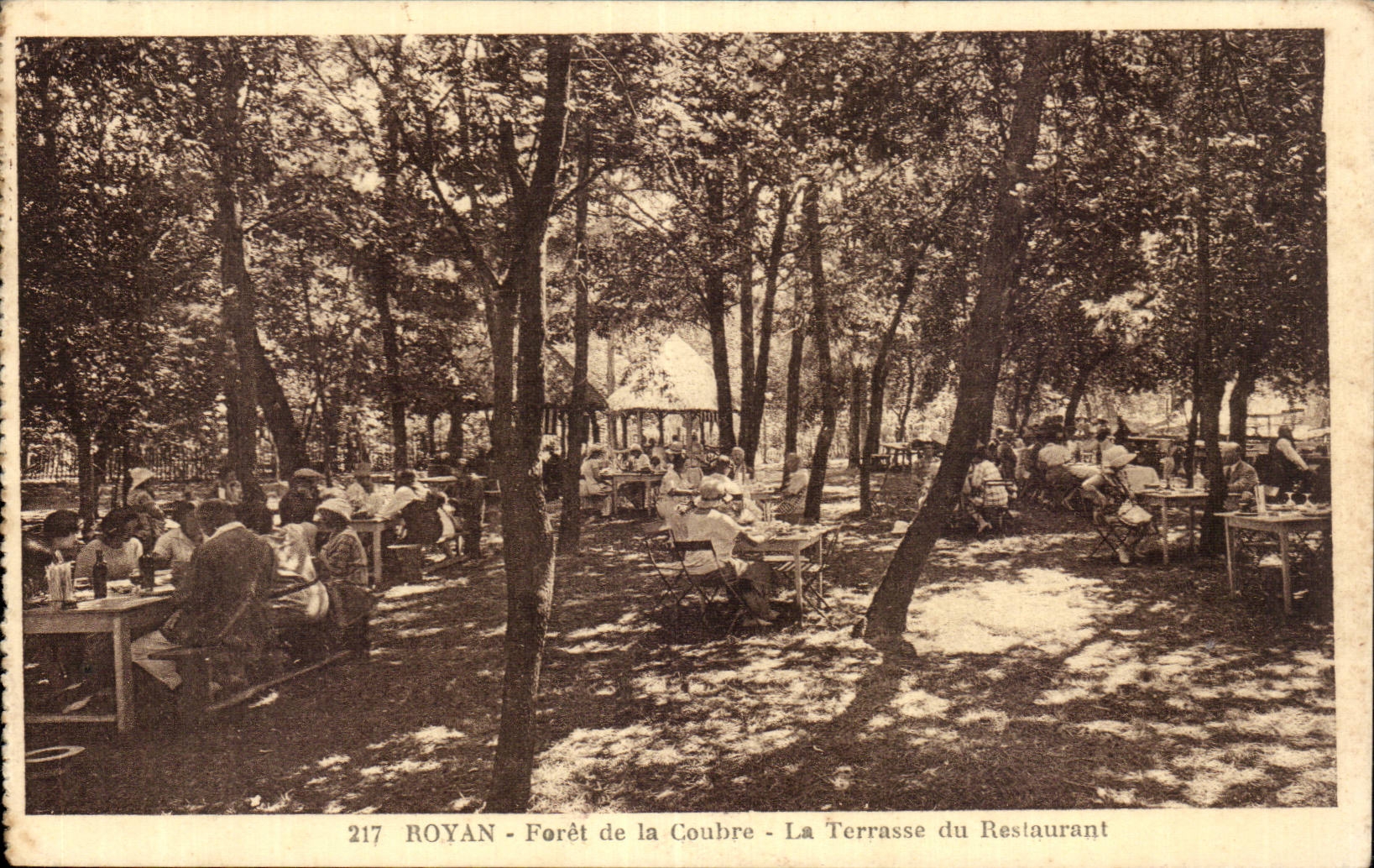 Royan - Foret de la Coubre - La Terrasse du Restaurant - CPA