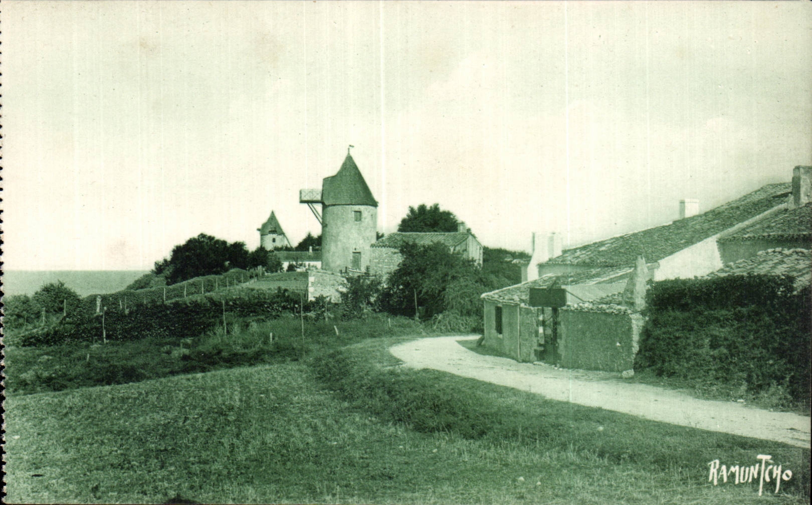 Environs de Royan Meschers - Moulins des Roches - CPA 