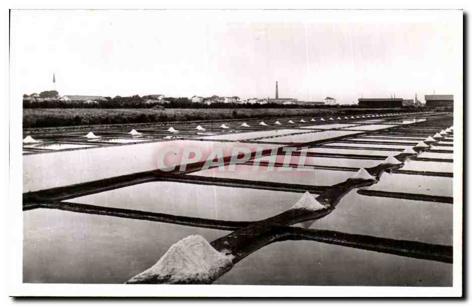 Ile de Ré — Salins — Édition Nozais, Nantes