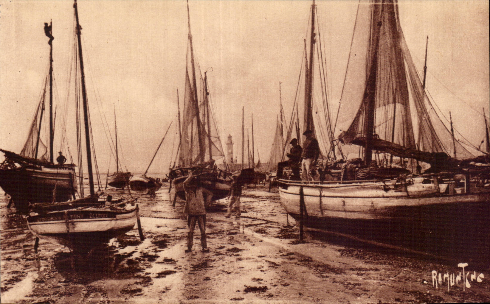 Ile d Oleron - Port de la Cotiniere Bateaux - CPA