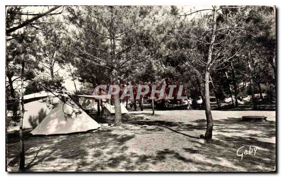 Campement sous les pins — Éditions Gaby — n°14