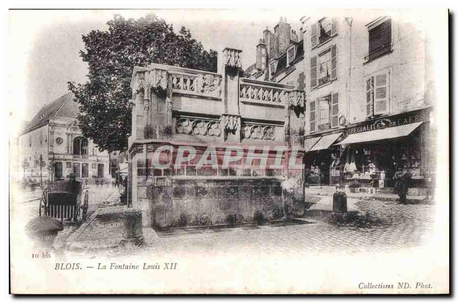 CPA Blois La fontaine Louis XII