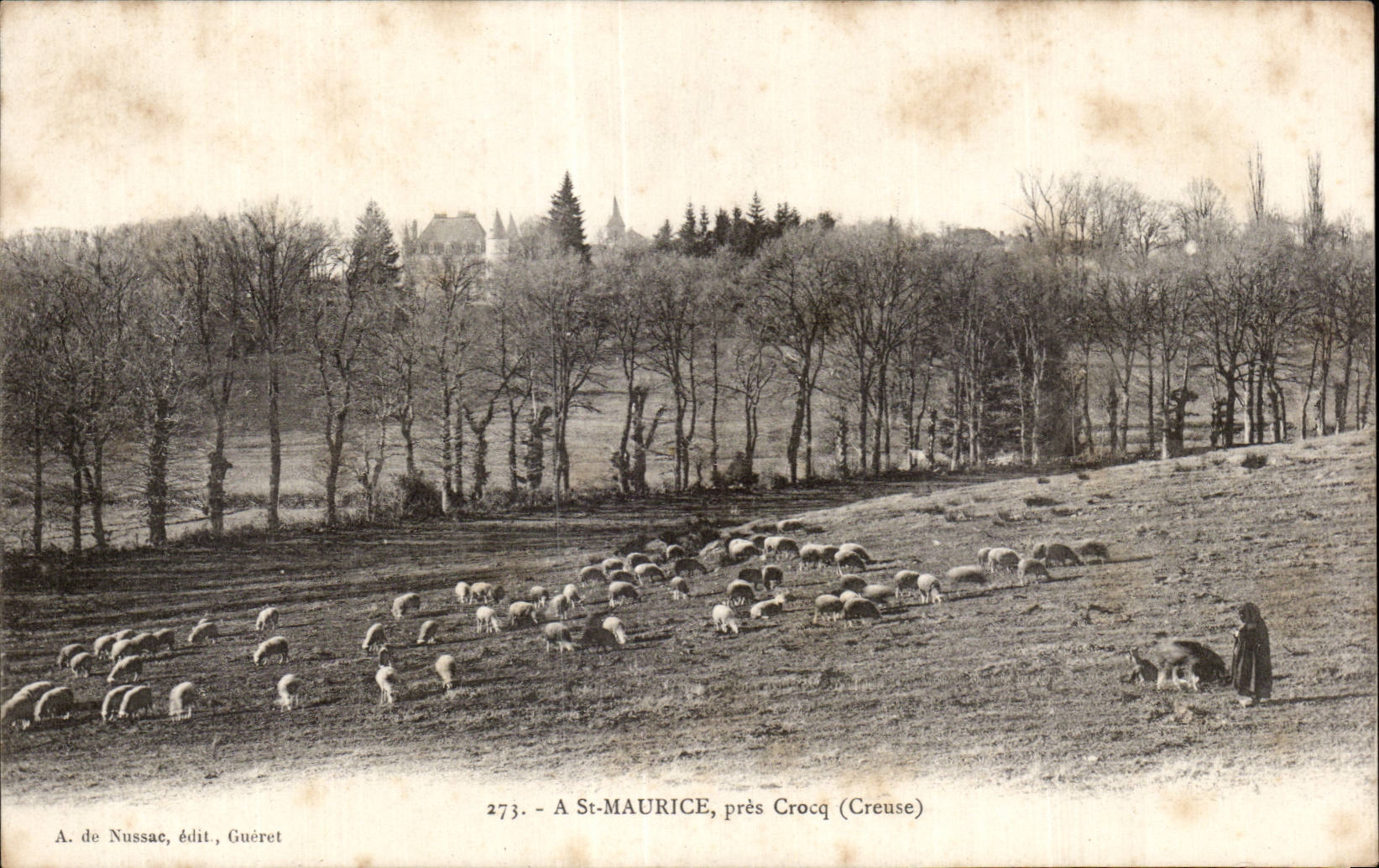 St-Maurice, près Crocq (Creuse) — troupeau de moutons et berger — A. de Nussac, édit. Guéret, n°273