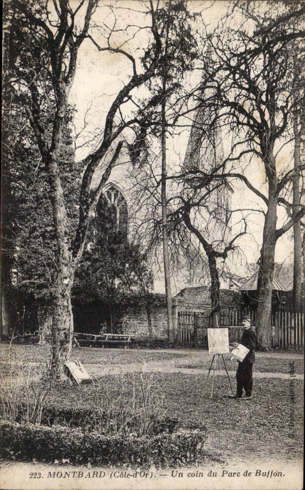 CPA Montbard Un coin du parc de Buffon