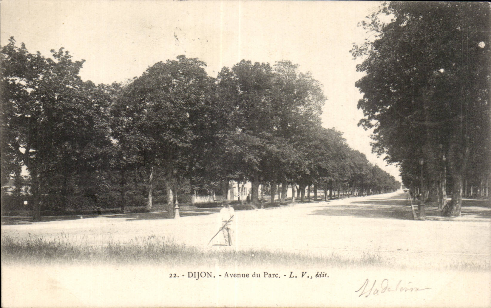 CPA Dijon Avenue du parc
