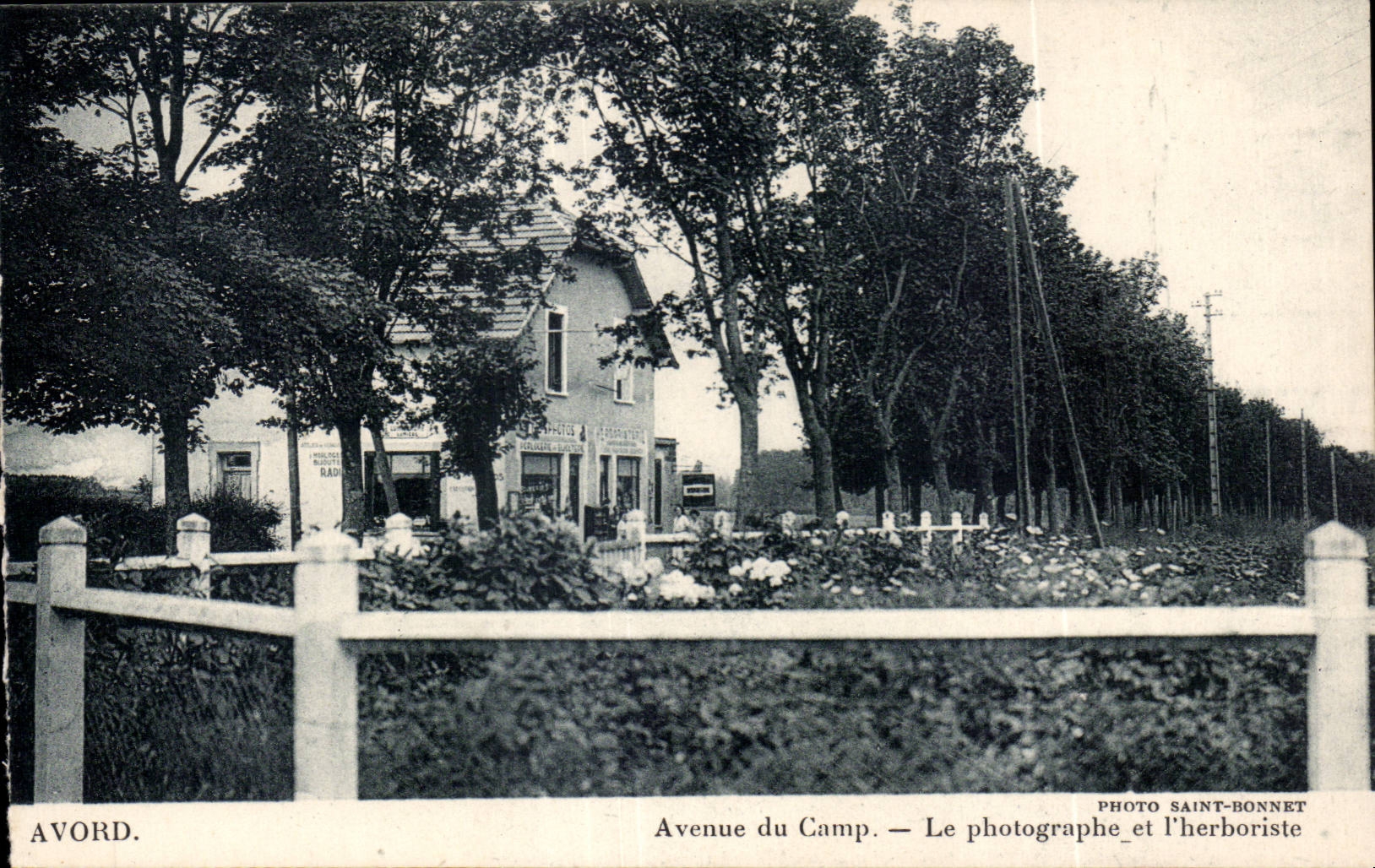Avord. Avenue du Camp — Le photographe et l'herboriste — Photo Saint-Bonnet