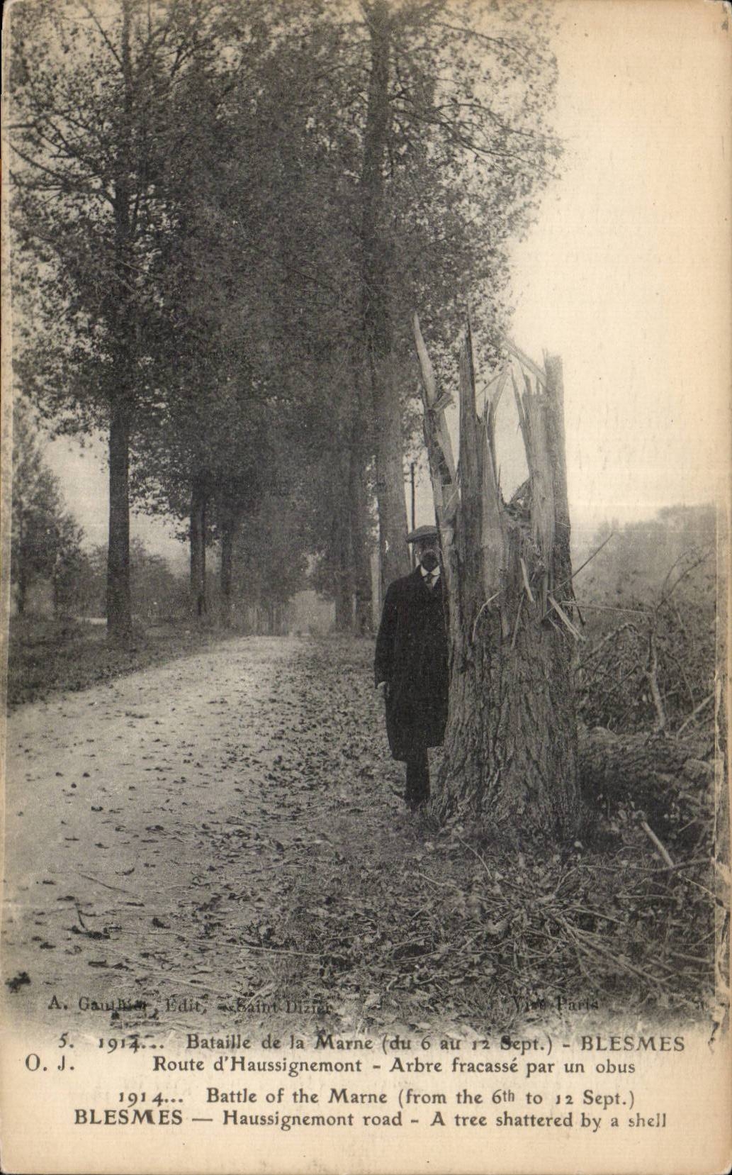 CPA Militaria Bataille de la Marne Blesmes Route d Haussignemont Arbre fracasse par un obus 
