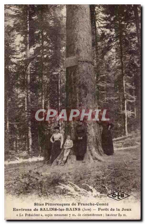 Salins les Bains - Foret de la Joux - CPA