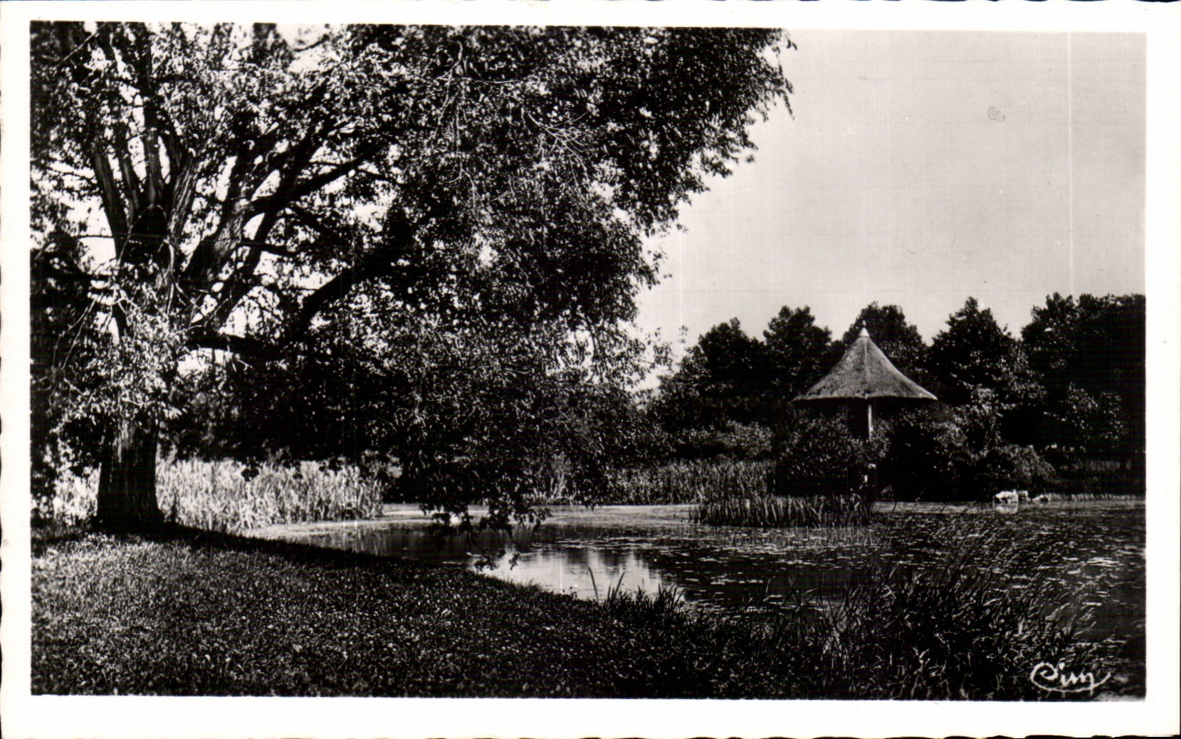 Lons-le-Saunier (Jura) — Parc de l'Établissement Thermal, Le Pavillon — Éditeur Cing