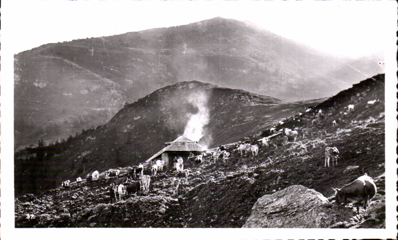 Dauphiné-Isère — En Allevard — La Bergerie du Collet (1.621 m.) — Édition de la Maison Alpline, Allevard-les-Bains