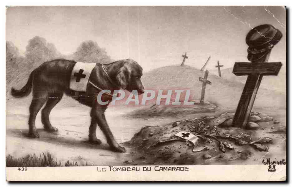 Perro de la Cruz Roja — La Tumba del Compañero — C. Marineto, París