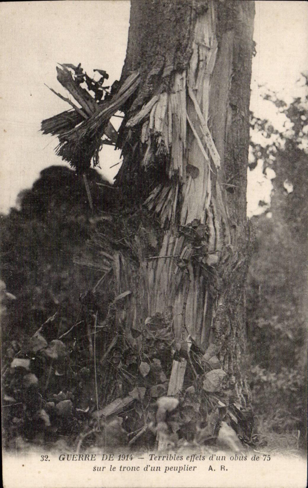 CPA Militaria Guerre de 1914 Terribles effets d un obus de 75 sur le tronc d un peuplier