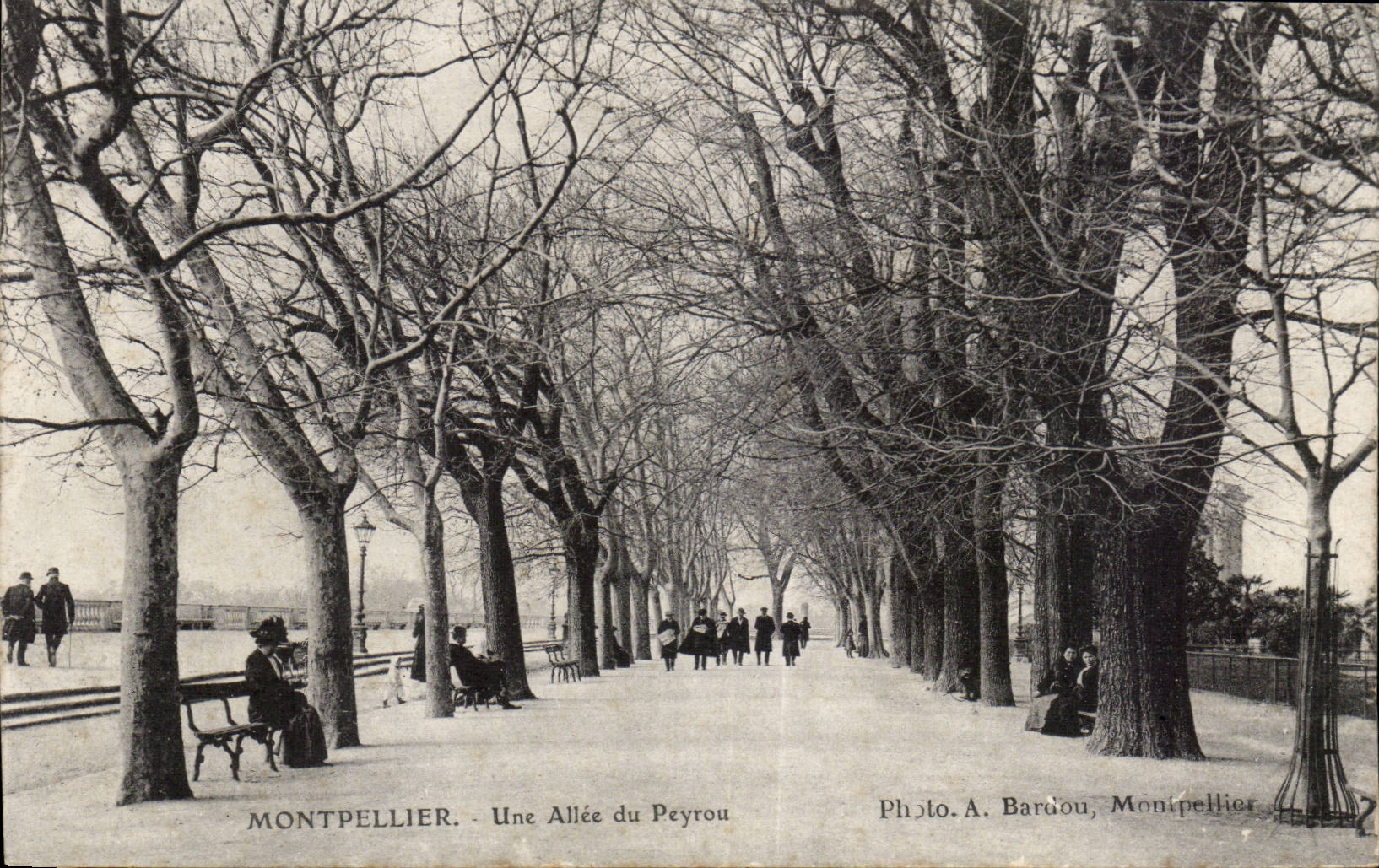 Montpellier - Une Allée du Peyrou — Photo A. Bardou, Montpellier