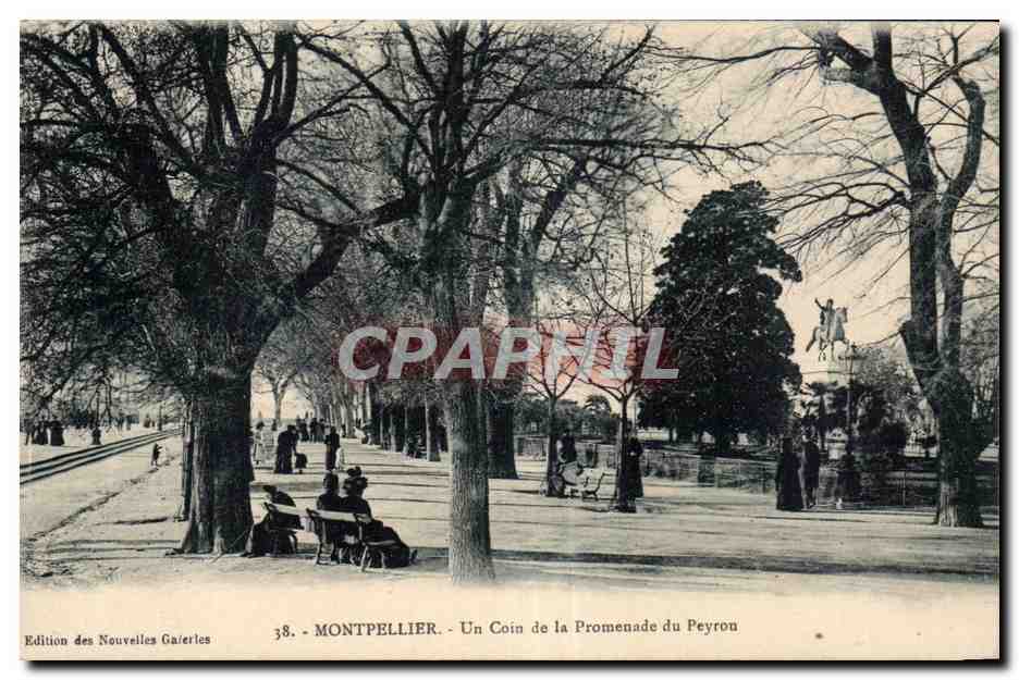 CPA Montpellier Un coin de la promenade du Peyrou 