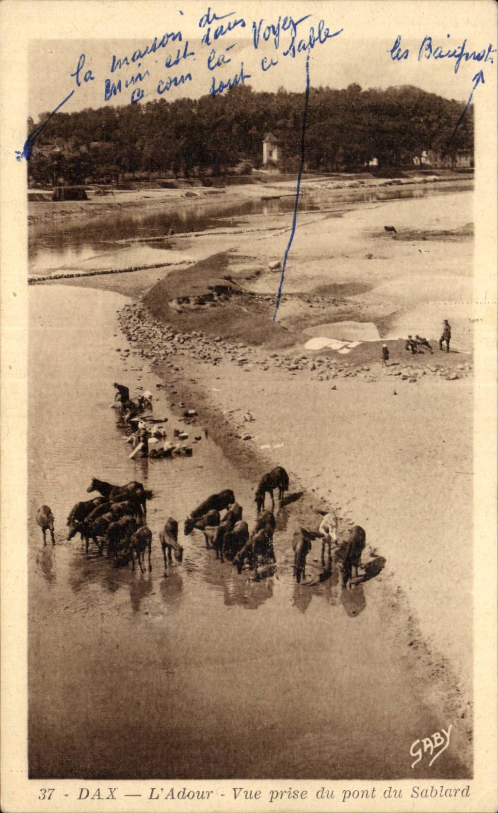 CPA Dax L Adour Vue prise du pont du Sablard Chevaux Cheval Horse