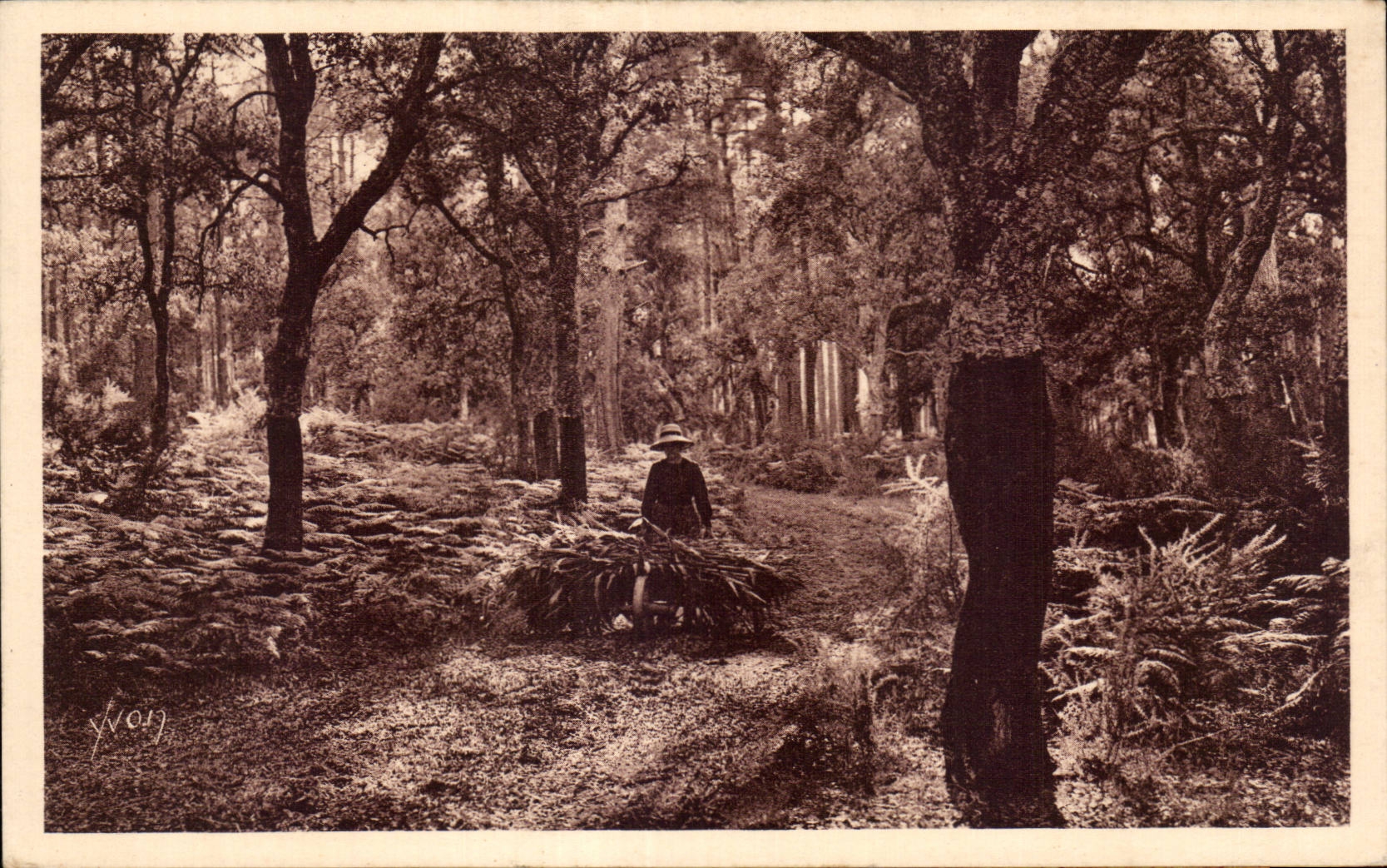 Les Landes de Gascogne — Le Retour à la Ferme — Éditions d'Art Yvot, Paris
