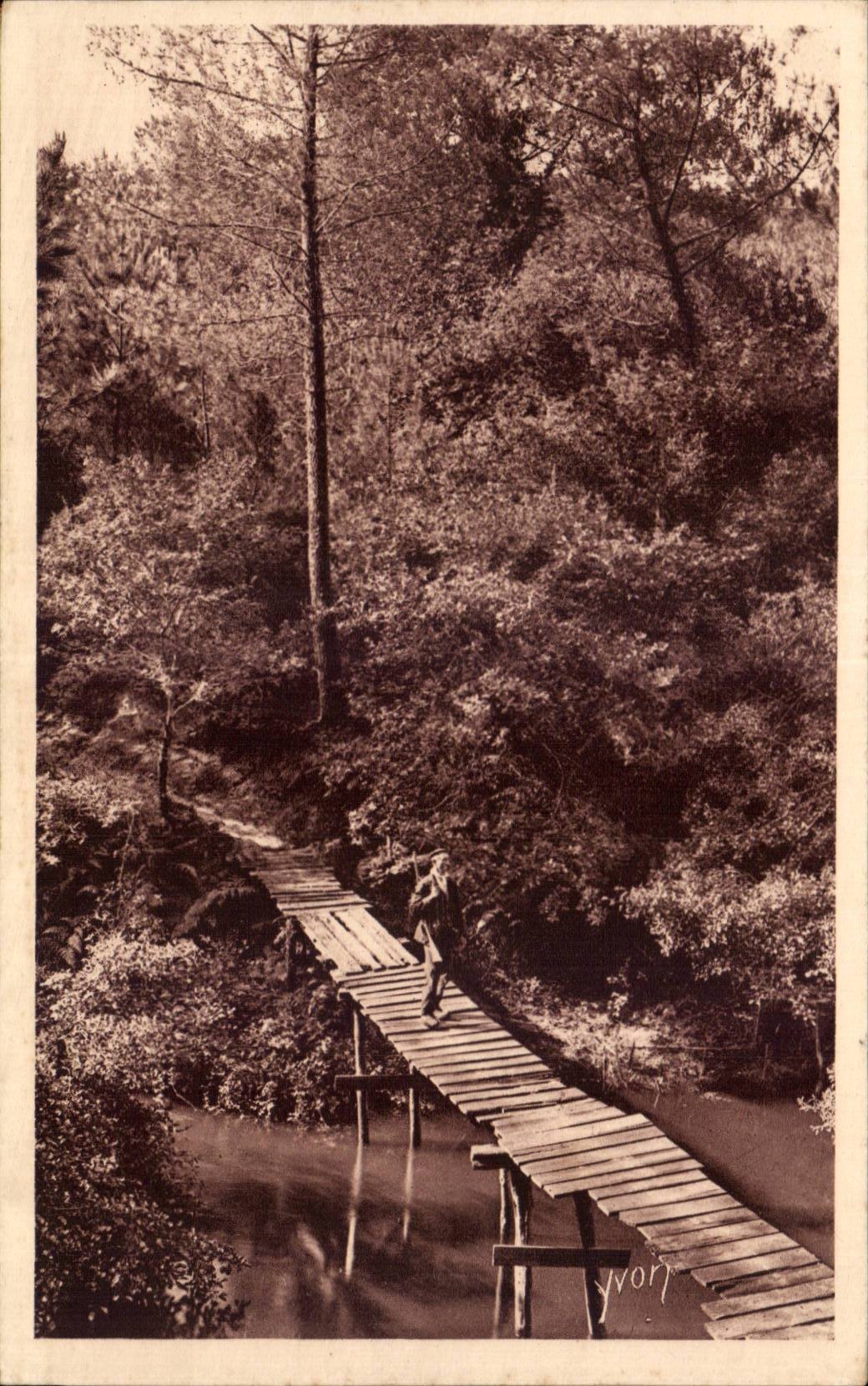 Pont rustique sur le Courant d'Huchet — Les Landes de Gascogne — Éditions d'Art Yvxn, Paris