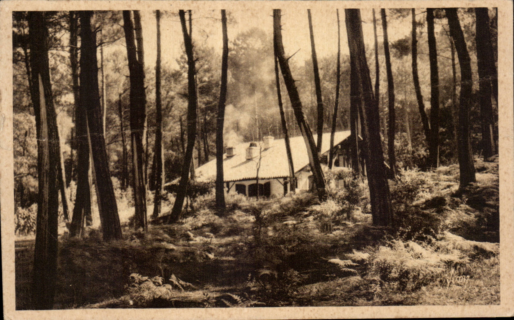 CPA Hossegor Villa en foret en bordure du lac