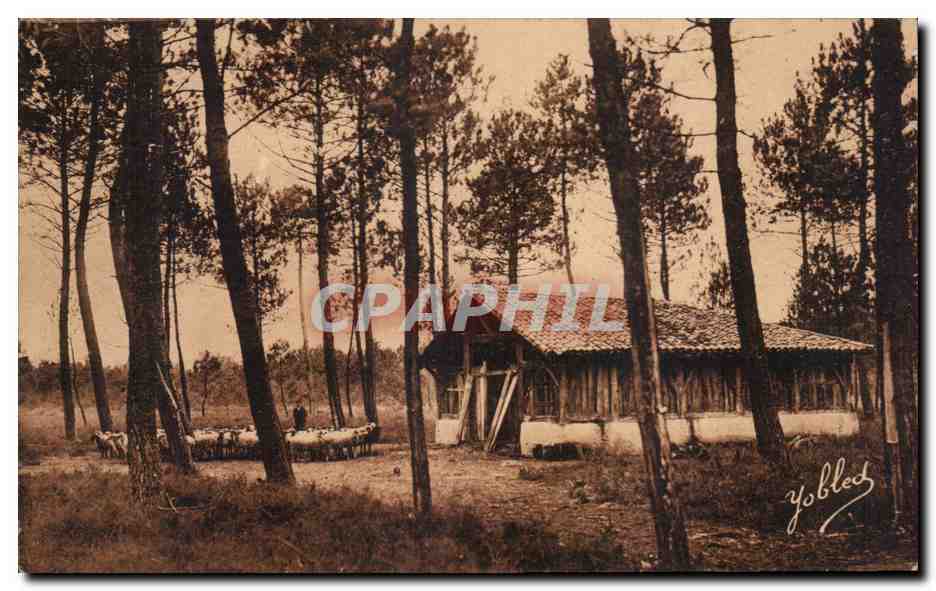CPA Dans les Landes de Gascogne Une bergerie
