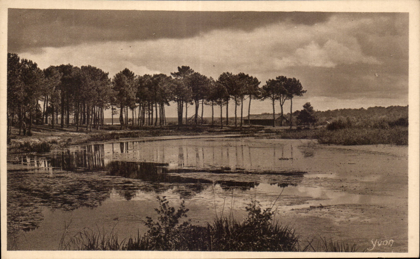 CPA Les Landes Un coin de l etang d Aureilhan pres Mimizan