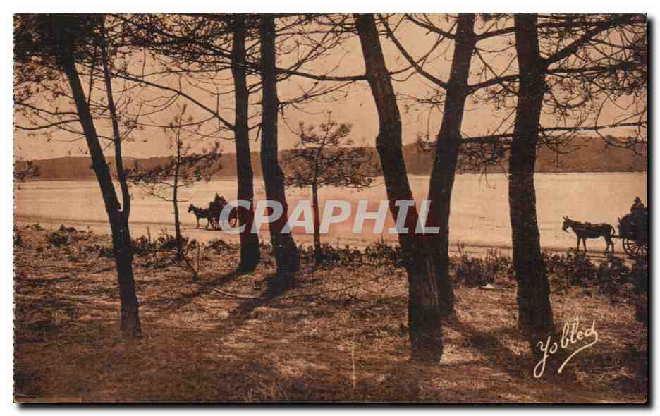Lac d'Hossegor — Landes de Gascogne — Phototypie Marcel Delbouy