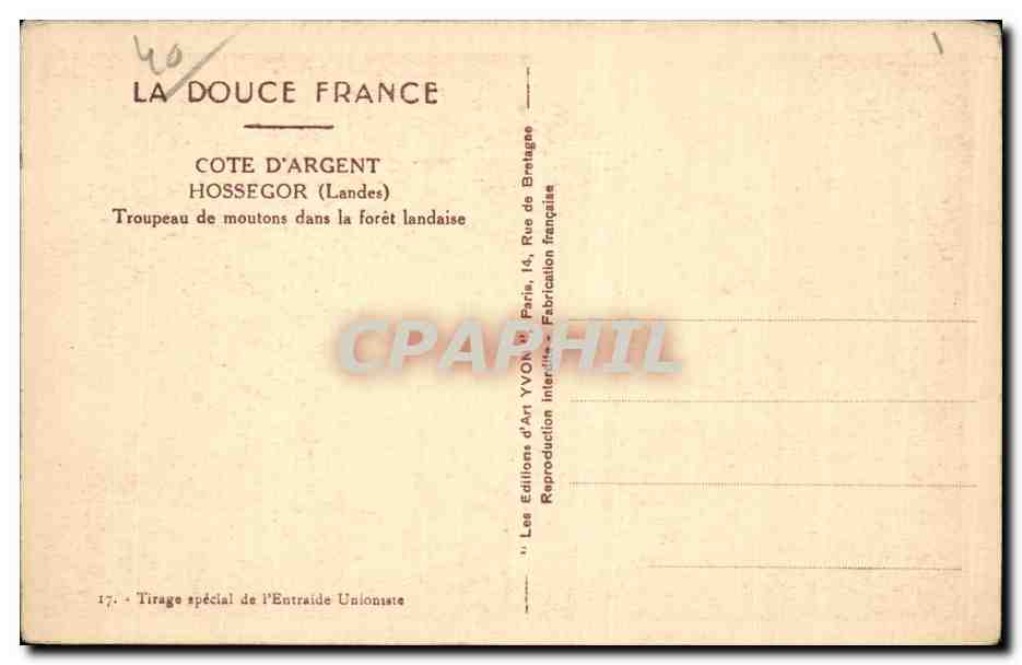 Troupeau de moutons dans la forêt landaise — Hossegor (Landes) — Éditions d'Art Yvon — Verso