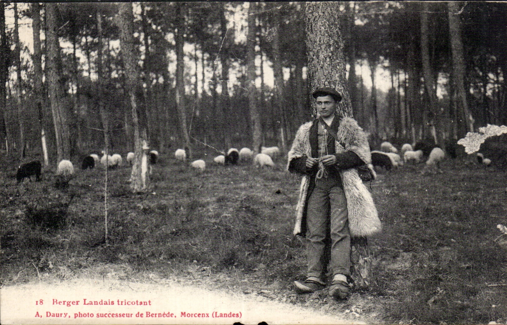 CPA Berger landais Folklore Costume