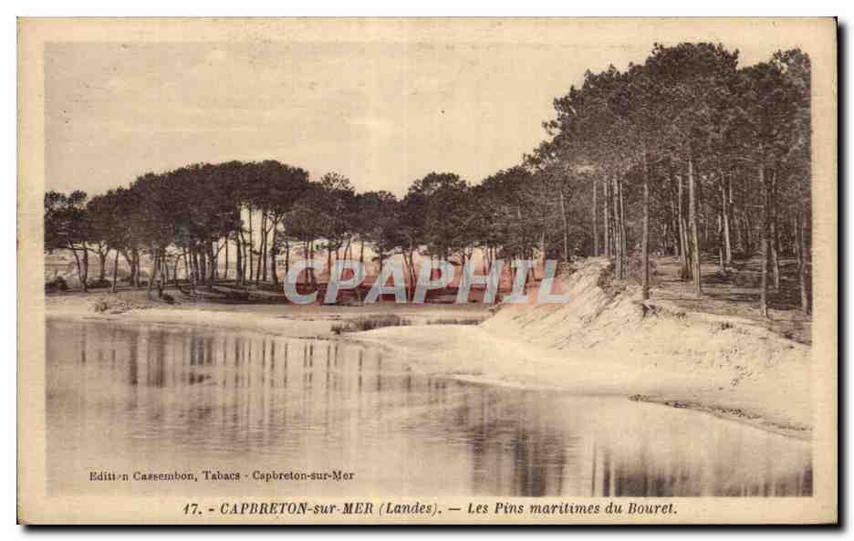 Capbreton-sur-Mer (Landes) — Les Pins maritimes du Bouret — Édition Cassembon, Tabacs, n°47