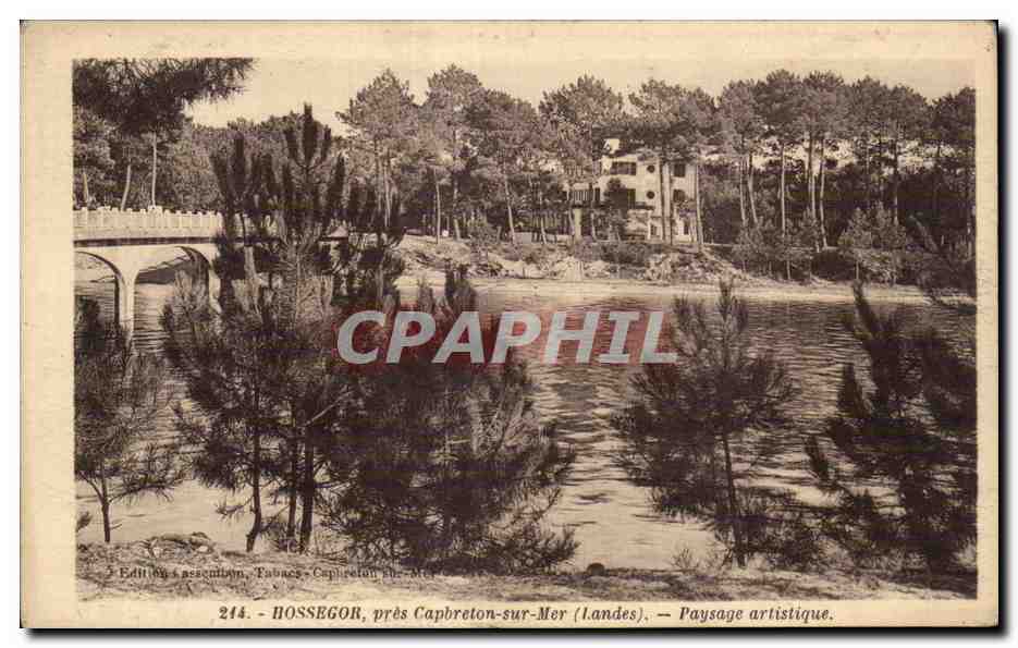 CPA Hossegor pres Capbreton sur mer Paysage artistique