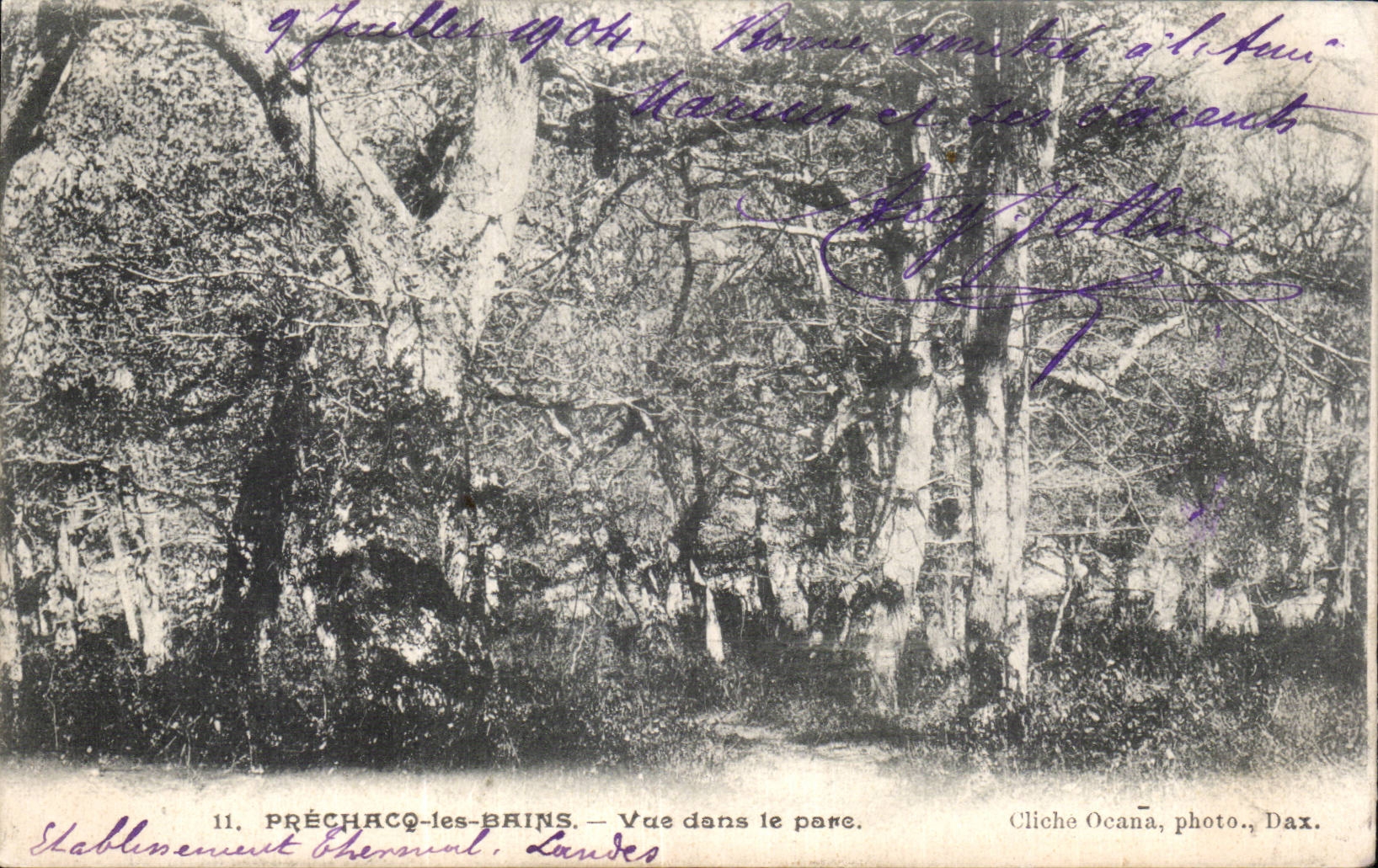 Prechacq les bains - Vue dans le Parc - CPA 