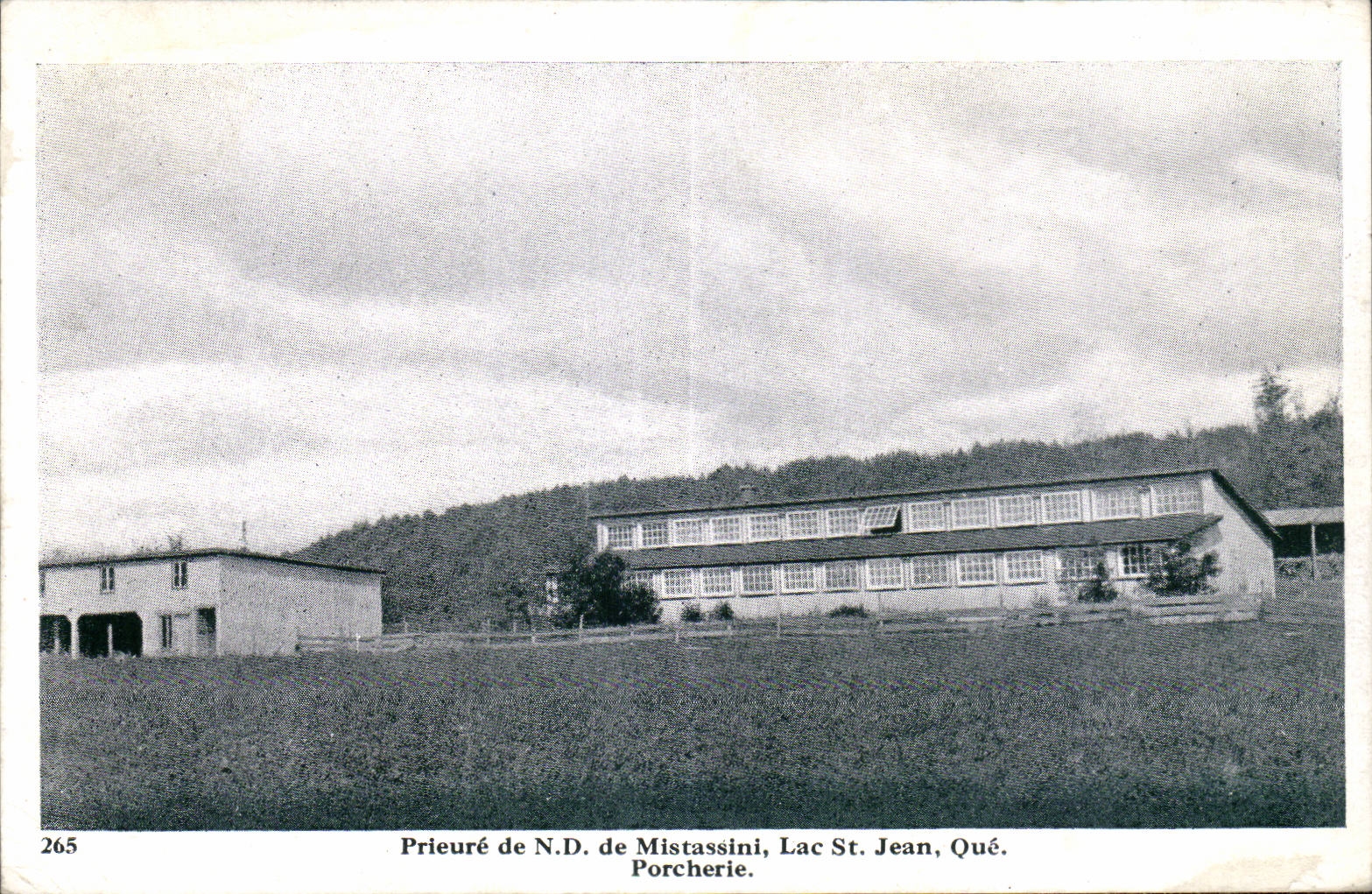 CPA Canada Prieure de ND de Mistassini Lac St Jean Porcherie