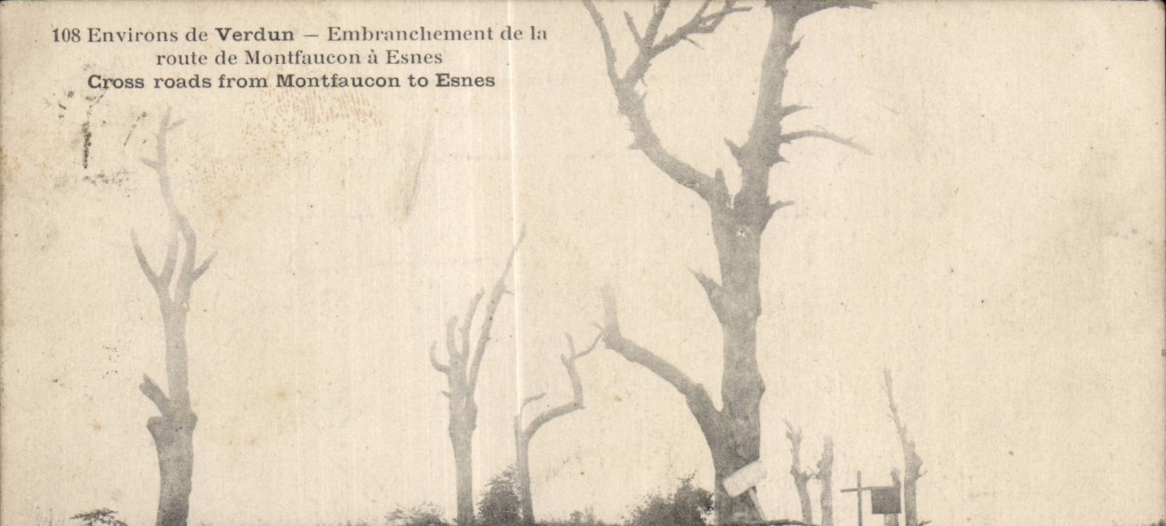 Environ de Verdun — Embranchement de la route de Montfaucon à Esnes — CPA n°108
