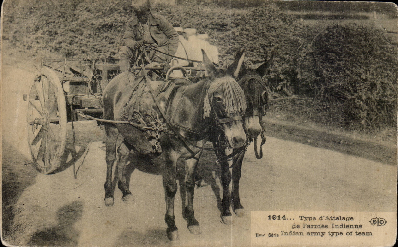 CPA Militaria Type d attelage de l armee indienne Ane Donkey 