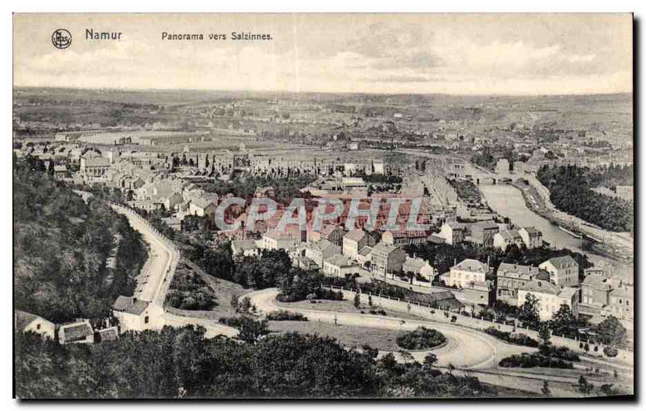 CPA Belgique Namur Panorama vers Salzinnes