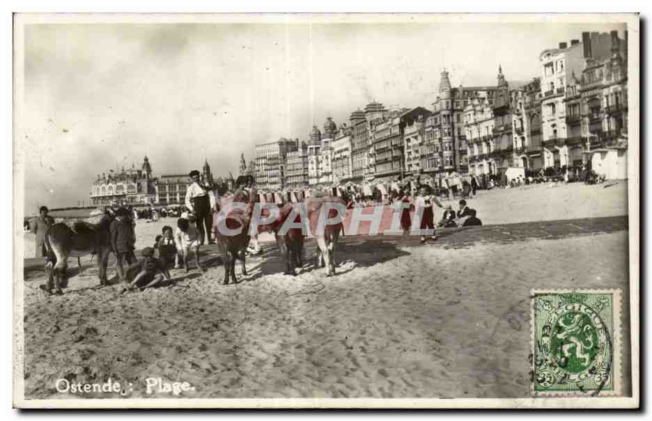 CPA Belgique Ostende La plage Ane donkey 