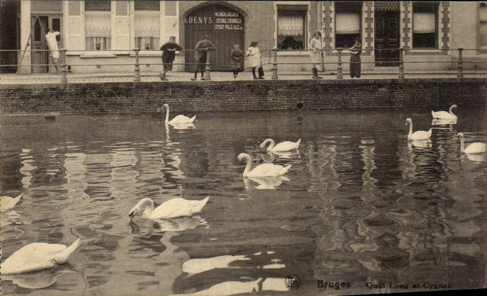 CPA Belgique Brugge Bruges Quai Long et cygnes
