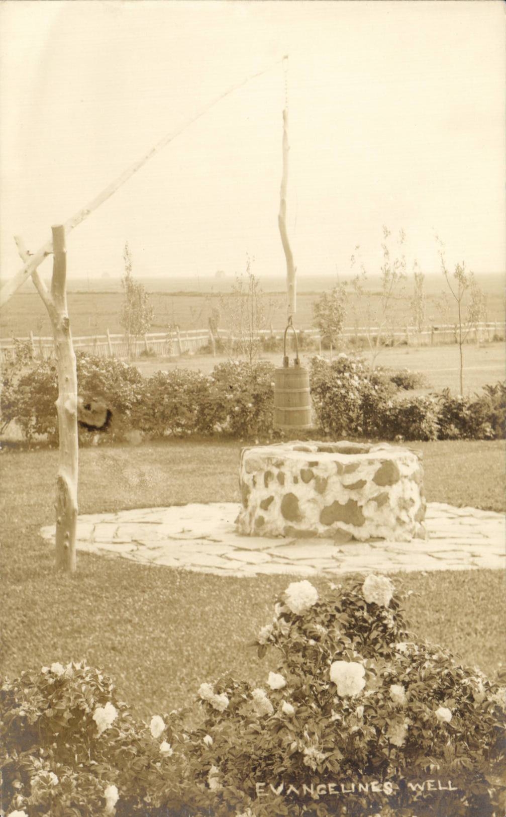 CARTE PHOTO Canada Evangelines well 
