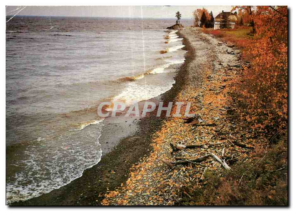 CPA Sur les bords du lac Saint Jean