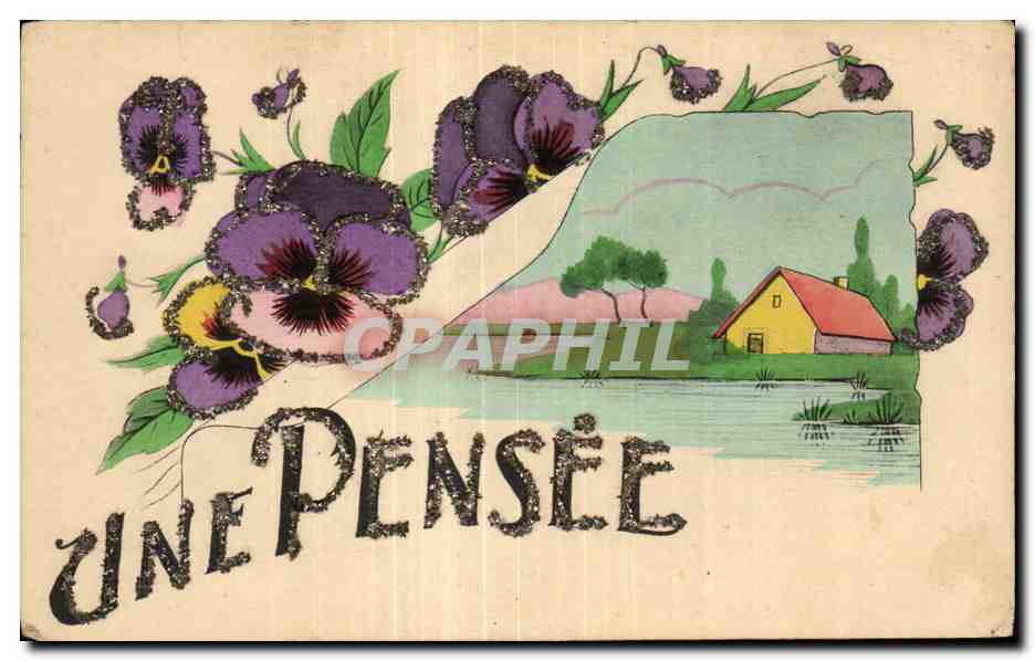 Fleurs Une Pensee - Pansy - CPA 