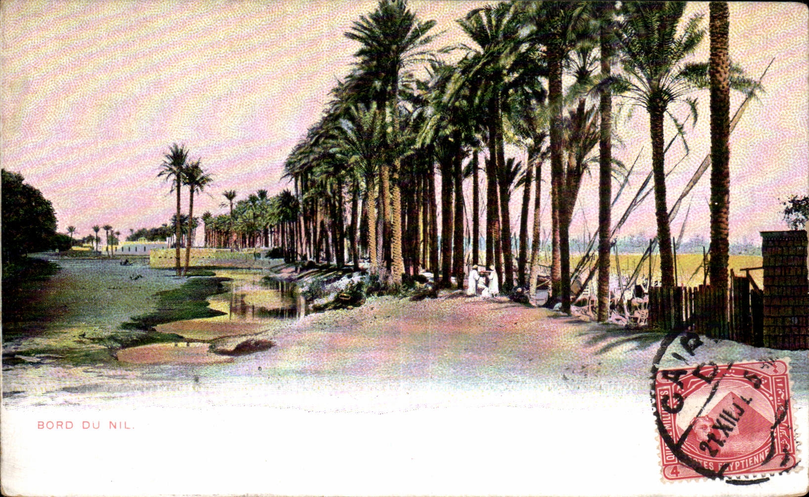 Afrique - Africa - Egypte - Egypt - Bord du Nil - CPA 