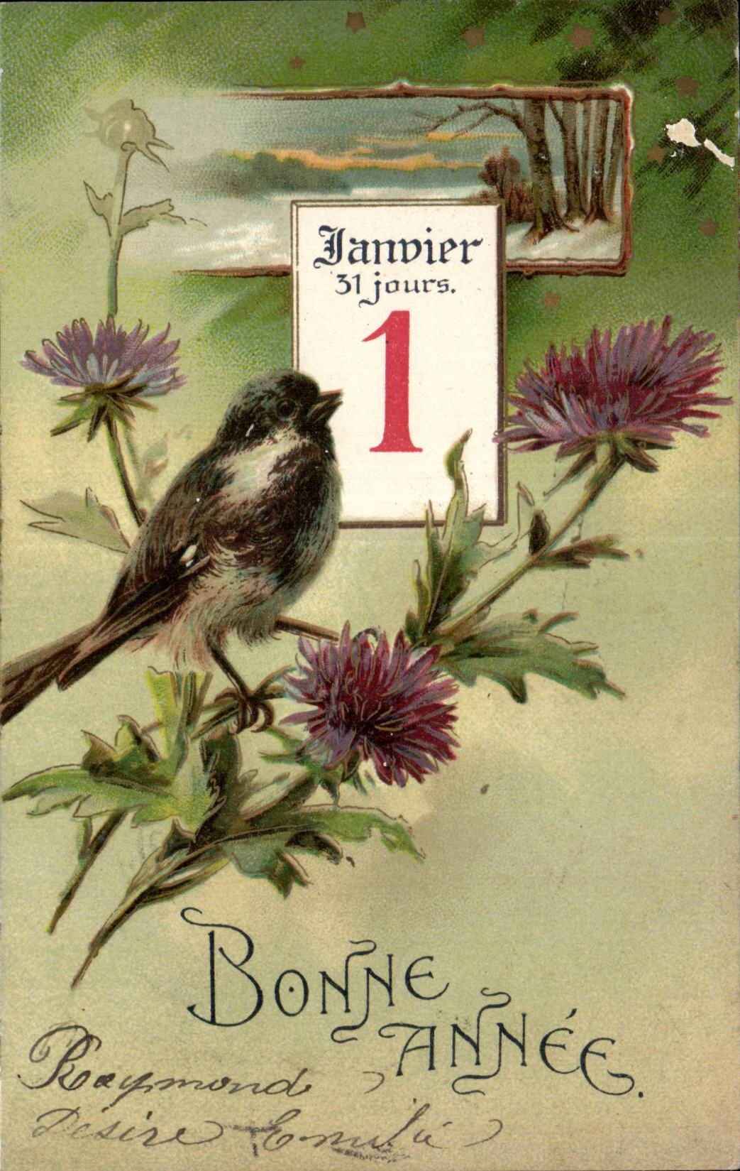 CPA Fantaisie Fleurs Oiseau Bonne annee