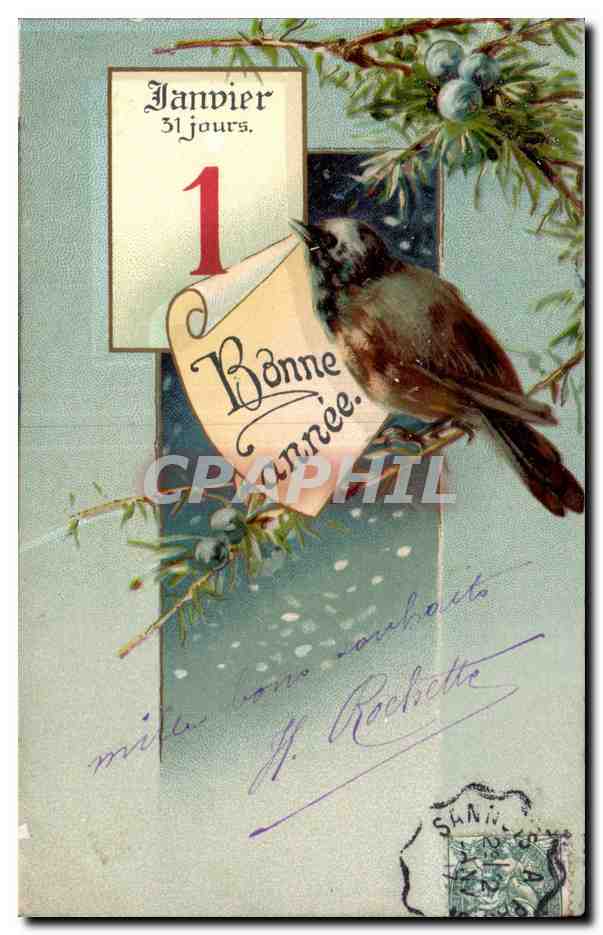 CPA Fantaisie Oiseau Janvier Bonne annee