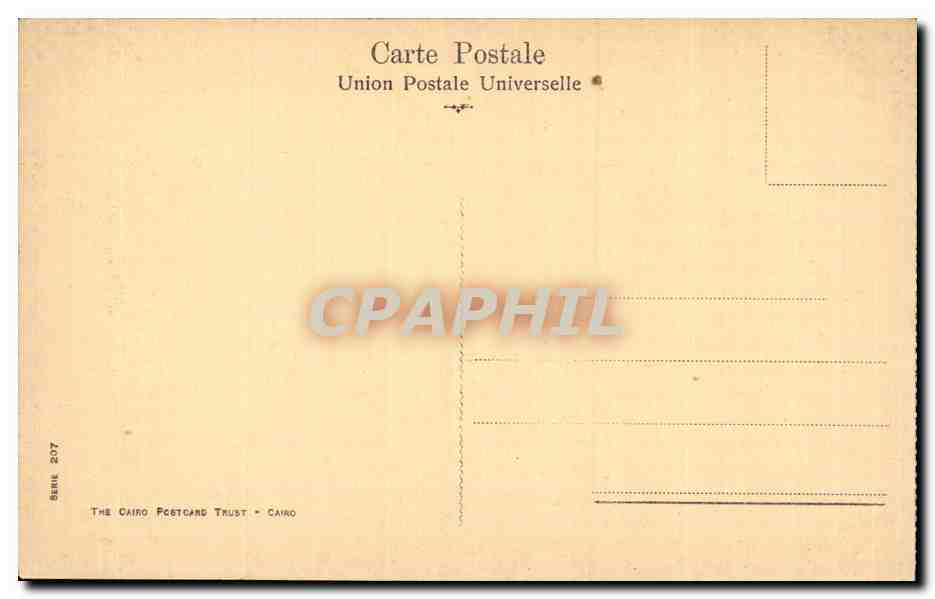 Afrique - Africa - Egypte - Egypt - Port Said - Chameaux - Camel - CPA  — Back