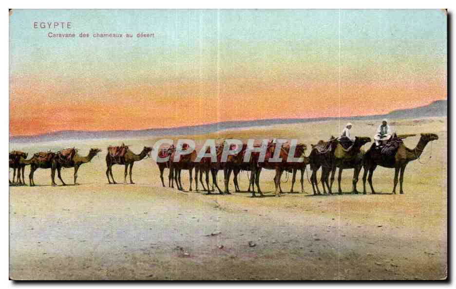 Égypte — Caravane des chameaux au désert — Édition Port Said