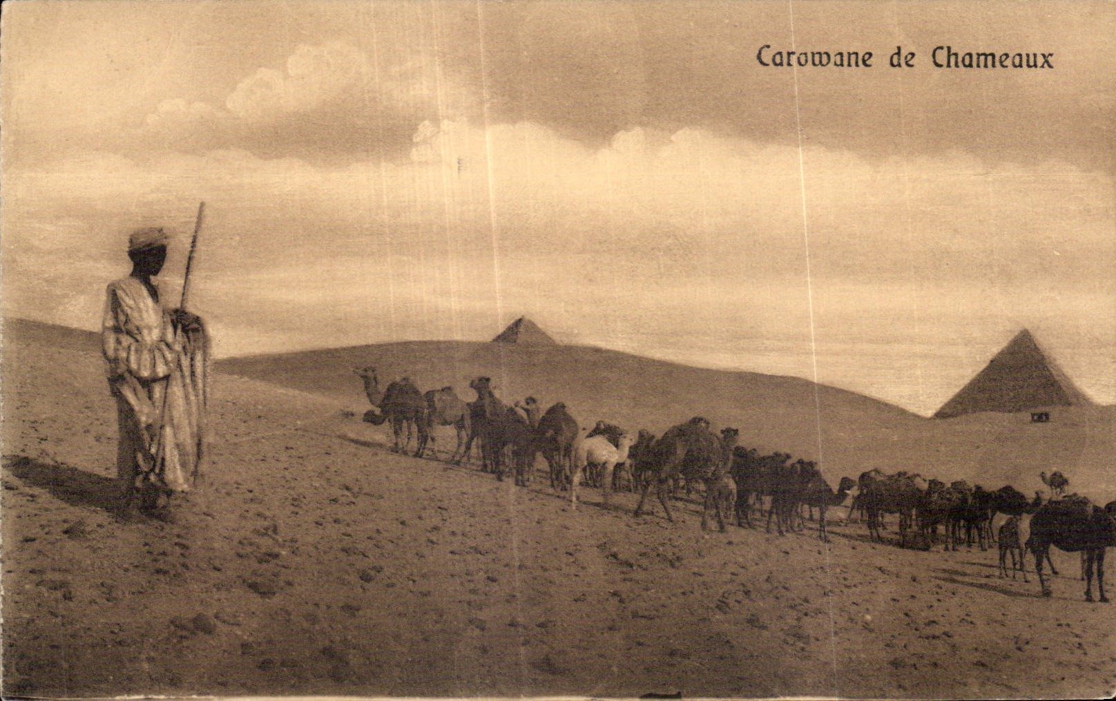 Afrique - Africa - Egypte - Egypt - Caravane de Chameaux - CPA 