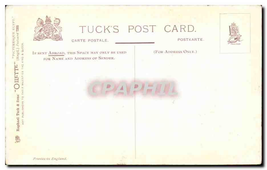 CPA Egypt Egypte Le Caire Cairo Egyptian museum — Verso