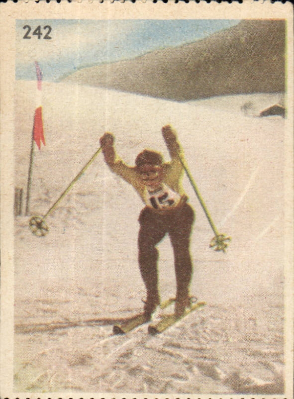 Image Les Sports La ruche moderne Sports SKi