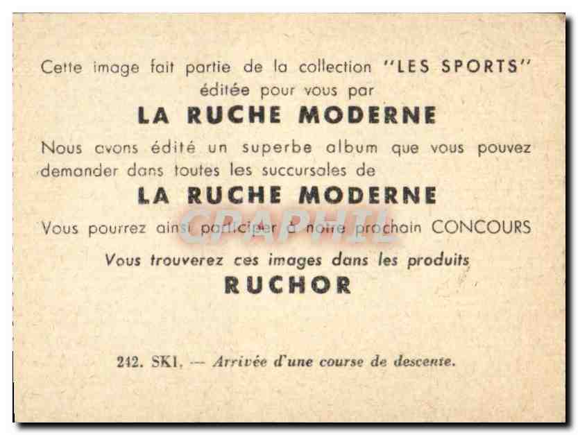 Image Les Sports La ruche moderne Sports SKi — Verso