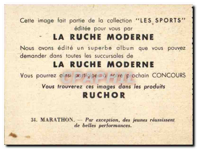 Image Les Sports La ruche moderne Sports Course a pied — Verso