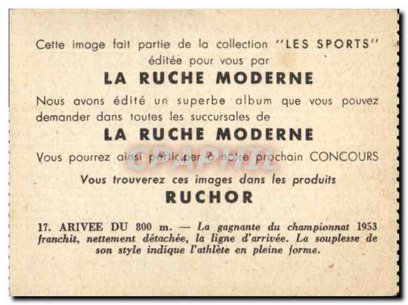 Image Les Sports La ruche moderne Sports Course a pied — Verso